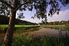 National Golf Baum mit See Belek