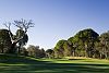 National Golf Baumreihen Belek