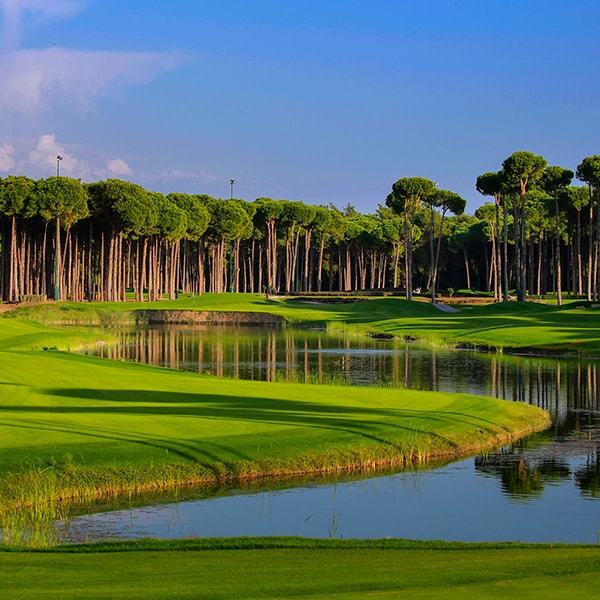 Carya Golf