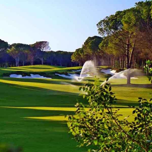 Carya Golf