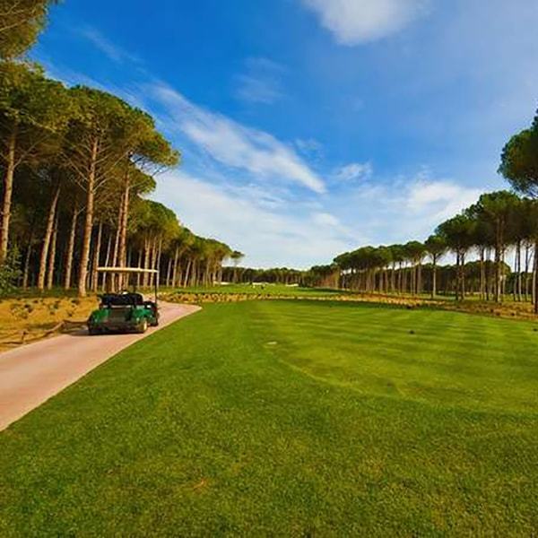 Carya Golf