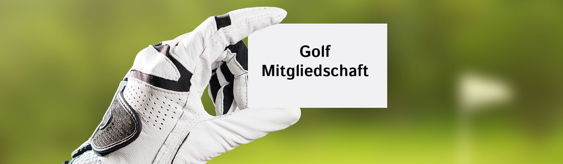 Golfmitgliedschaft mit HCP-36 Golfmitgliedschaft