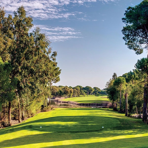 Cornelia Golf Cornelia Golf