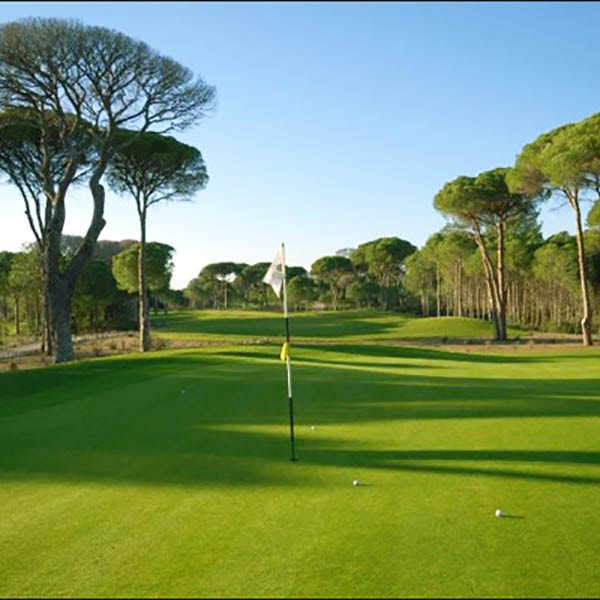 Cornelia Golf