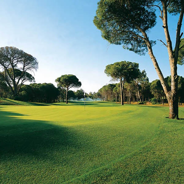 Cornelia Golf