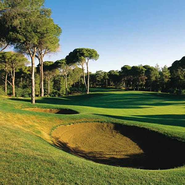 Cornelia Golf Cornelia Golf