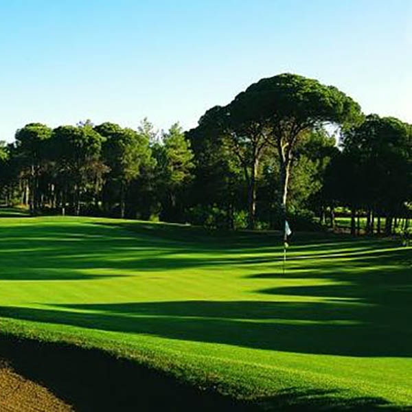 Cornelia Golf Cornelia Golf