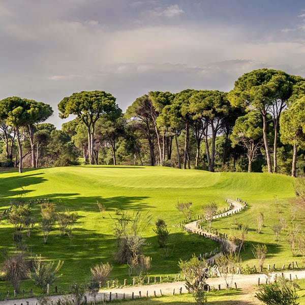Cornelia Golf Cornelia Golf