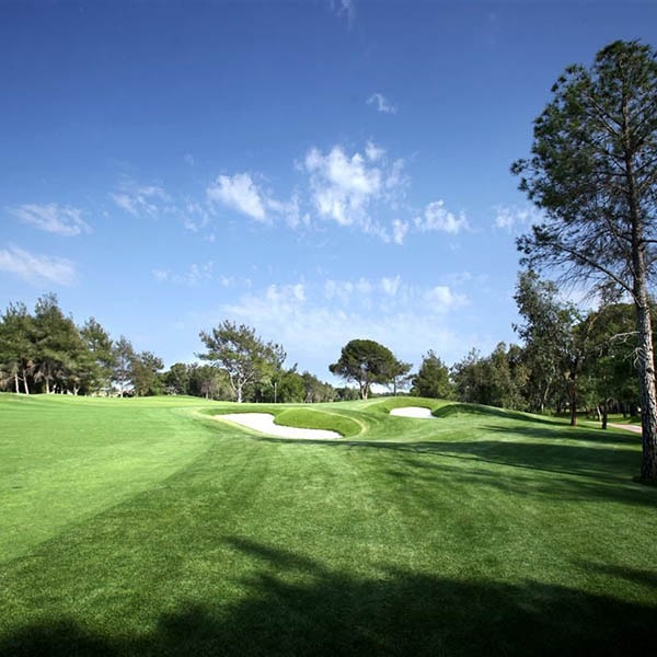 Montgomerie Maxx Royal Golf