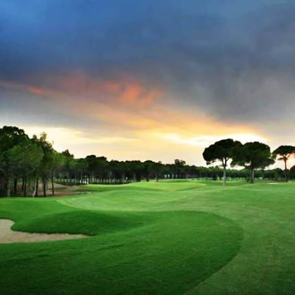 Montgomerie Maxx Royal Golf Montgomerie Maxx Royal Golf