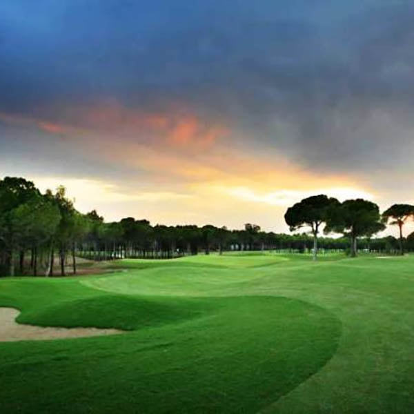 Montgomerie Maxx Royal Golf