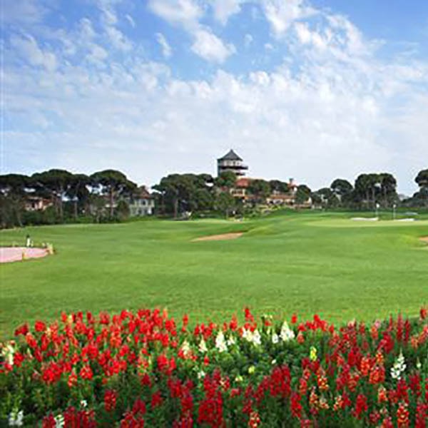 Montgomerie Maxx Royal Golf Montgomerie Maxx Royal Golf