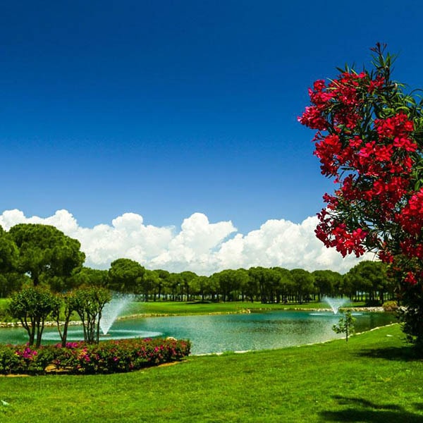 Robinson Nobilis Golf Club Robinson Nobilis Golf Club