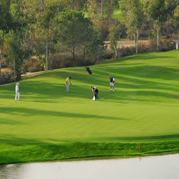Sueno Golf Club Sueno Golf Club