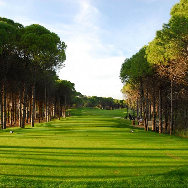 Sueno Golf Club Sueno Golf Club